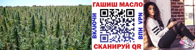KRAKEN ССЫЛКА  Железногорск-Илимский  Дистиллят ТГК THC oil 
