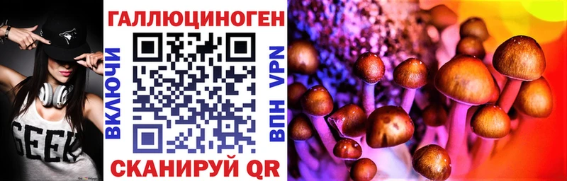 Псилоцибиновые грибы прущие грибы  Железногорск-Илимский 